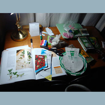 Eugenia's work table.